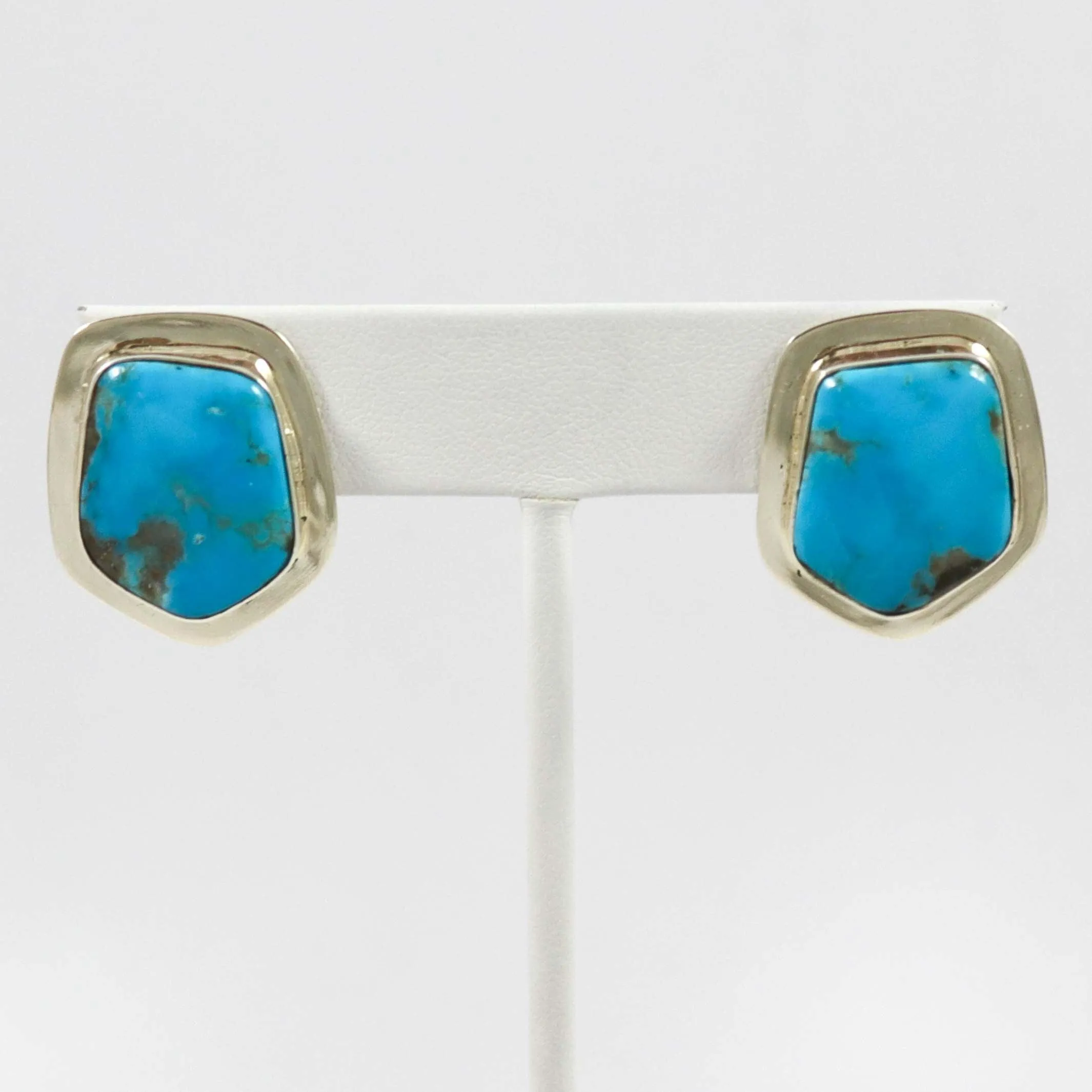 Blue Gem Turquoise Earrings