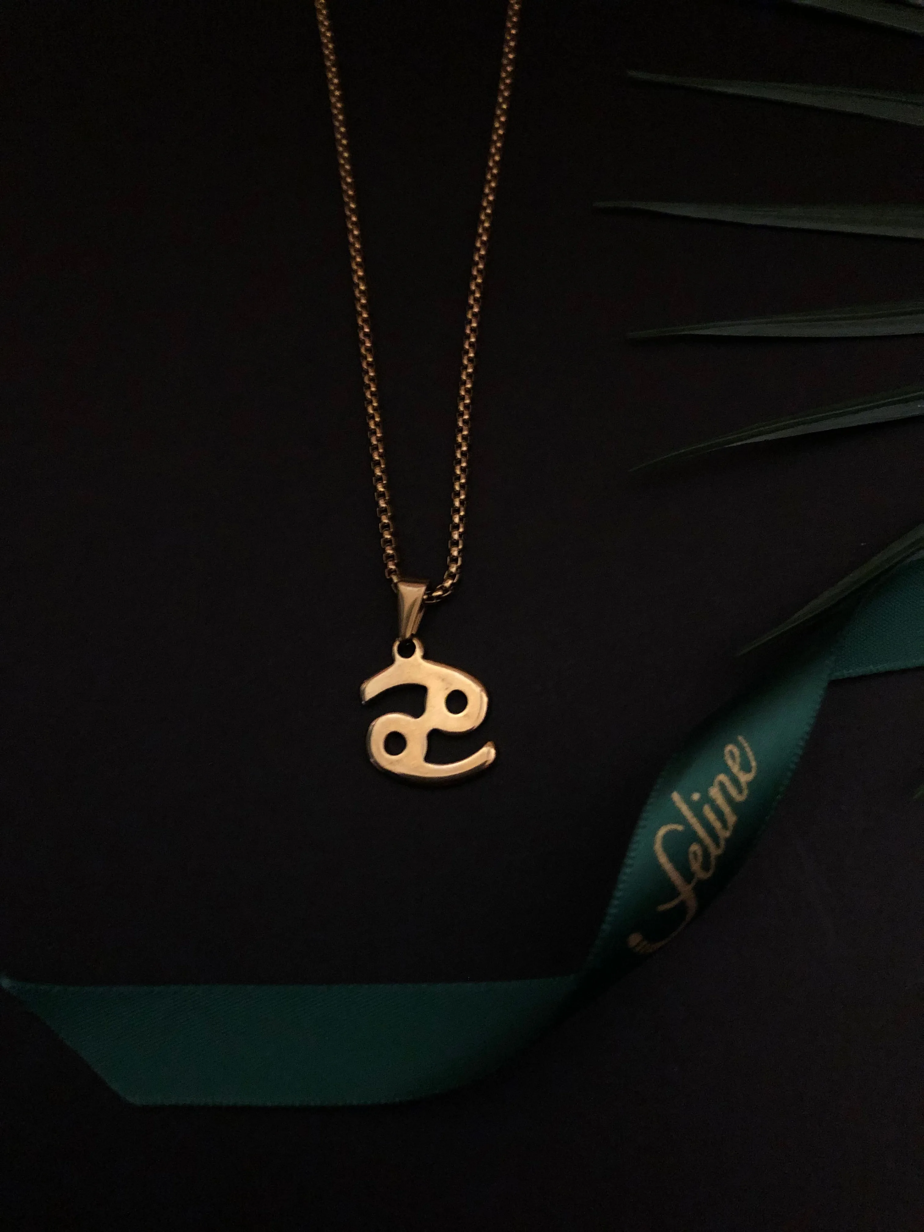 Cancer Flat Horoscope Necklace