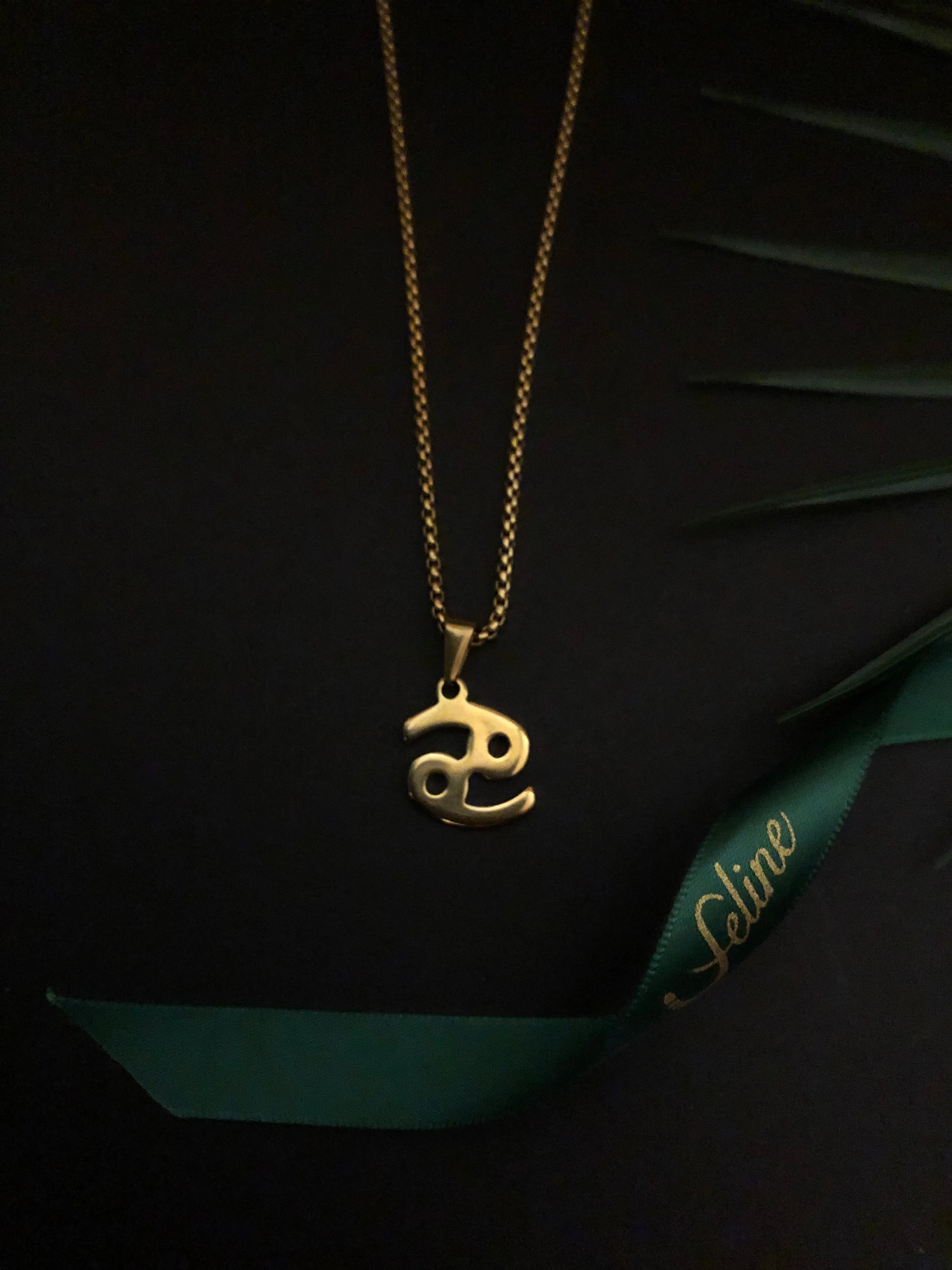 Cancer Flat Horoscope Necklace