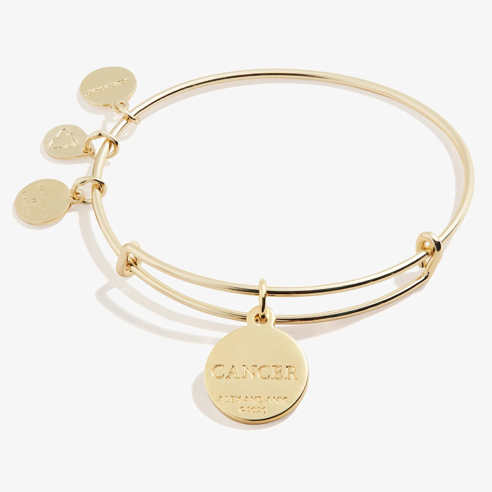 Cancer Zodiac Charm Bangle, Color