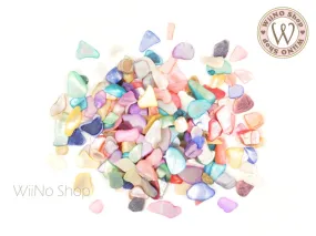 Colorful Shell Natural Gemstones