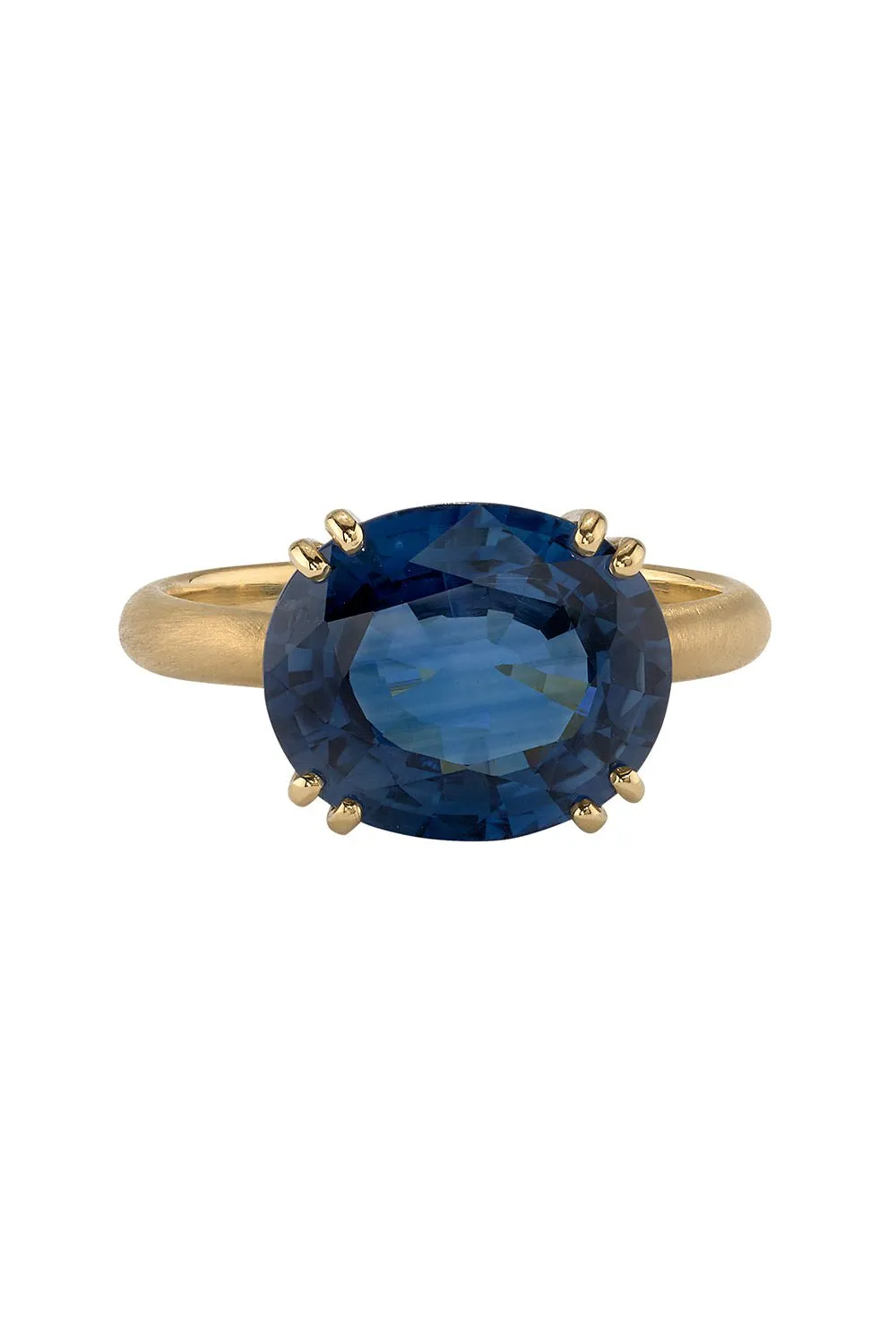 Gemmy Gem Double Prong Sapphire Ring