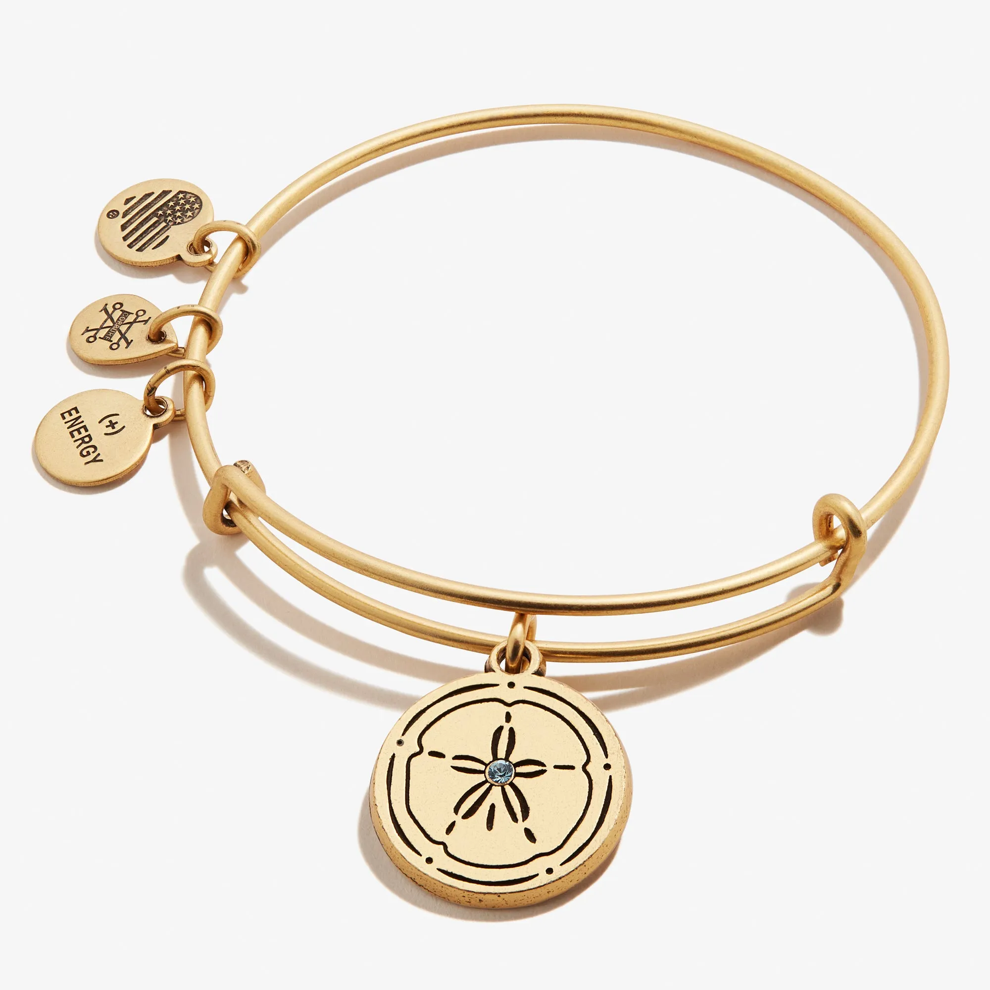 Sand Dollar Charm Bangle