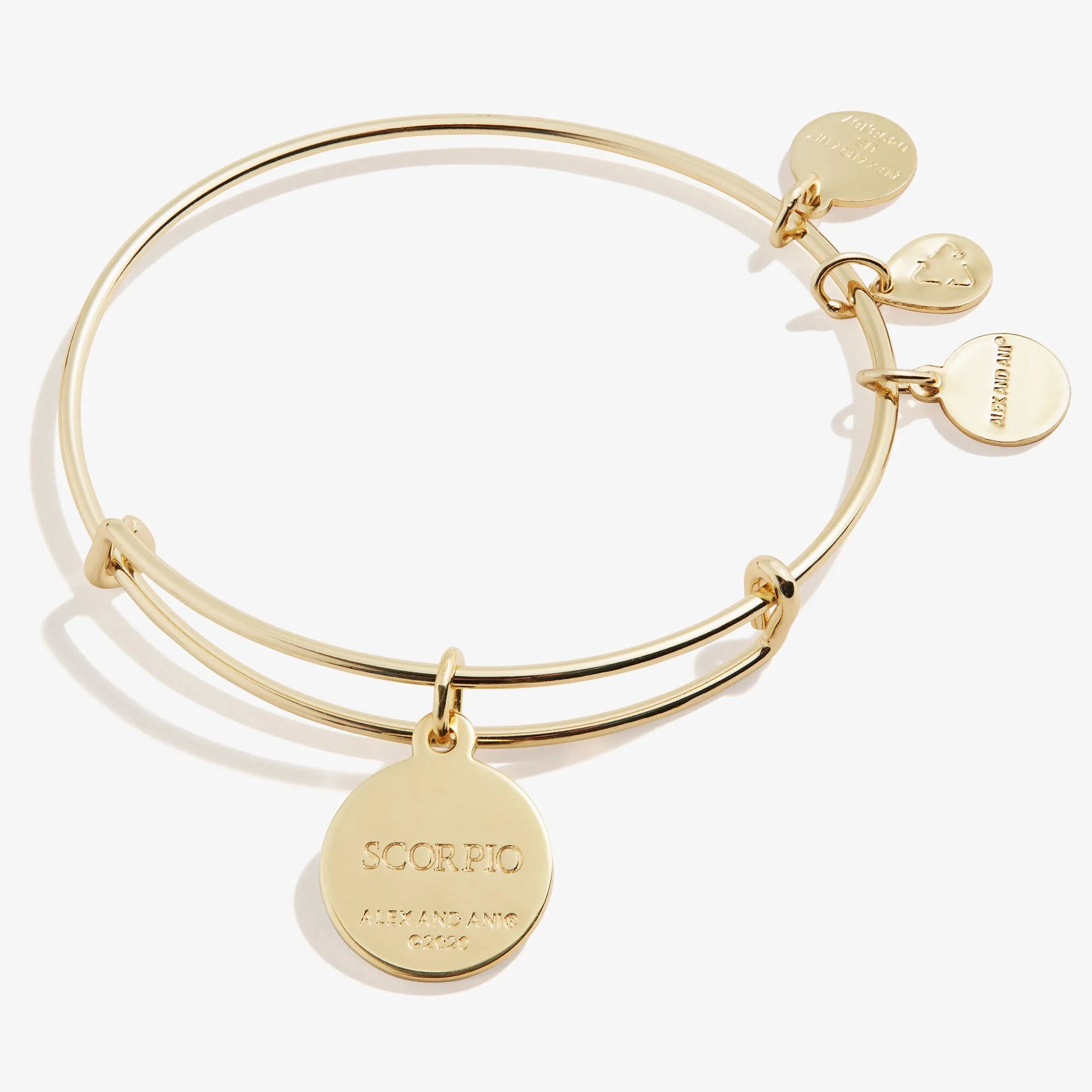 Scorpio Zodiac Charm Bangle, Color