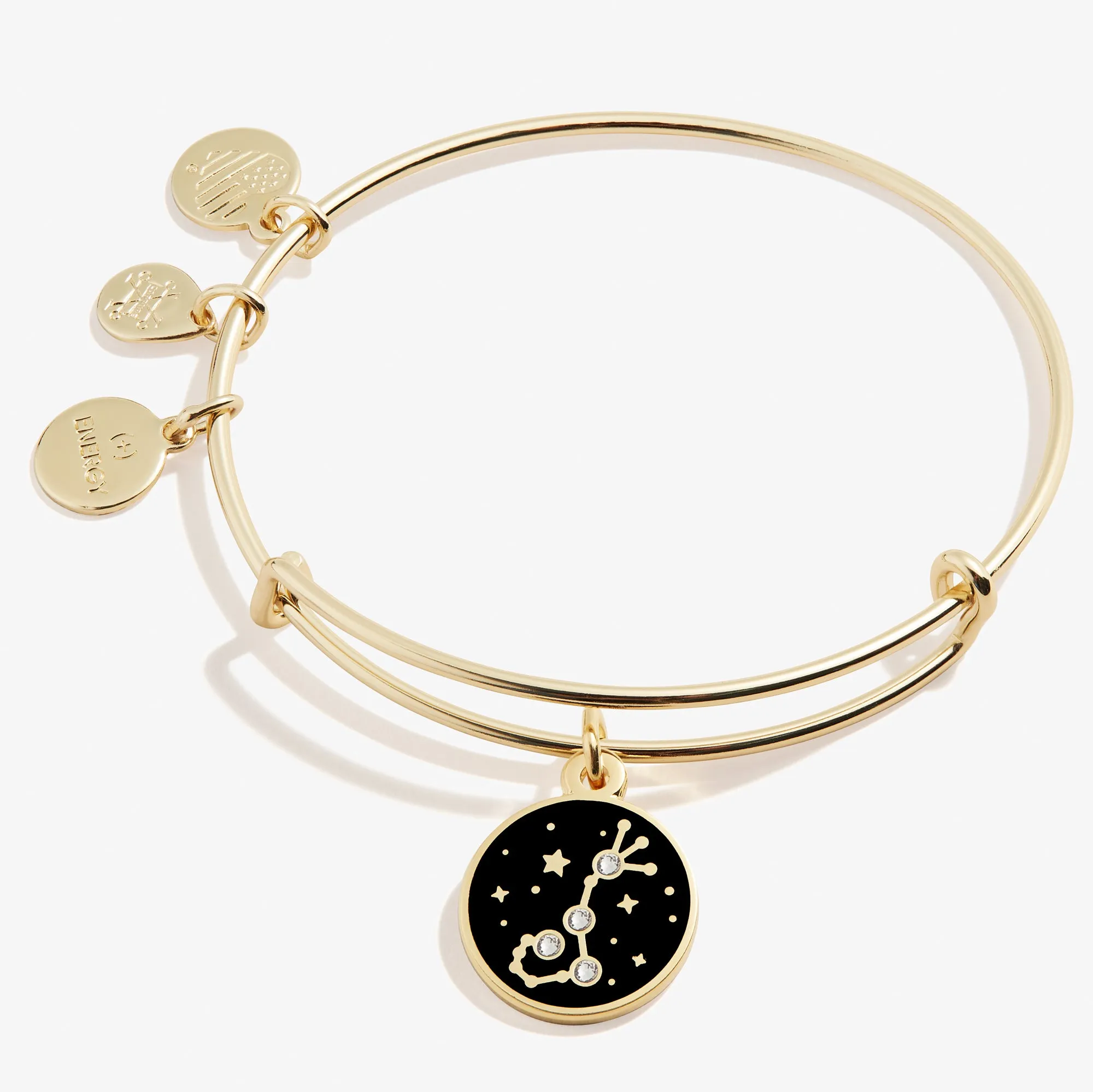 Scorpio Zodiac Charm Bangle, Color