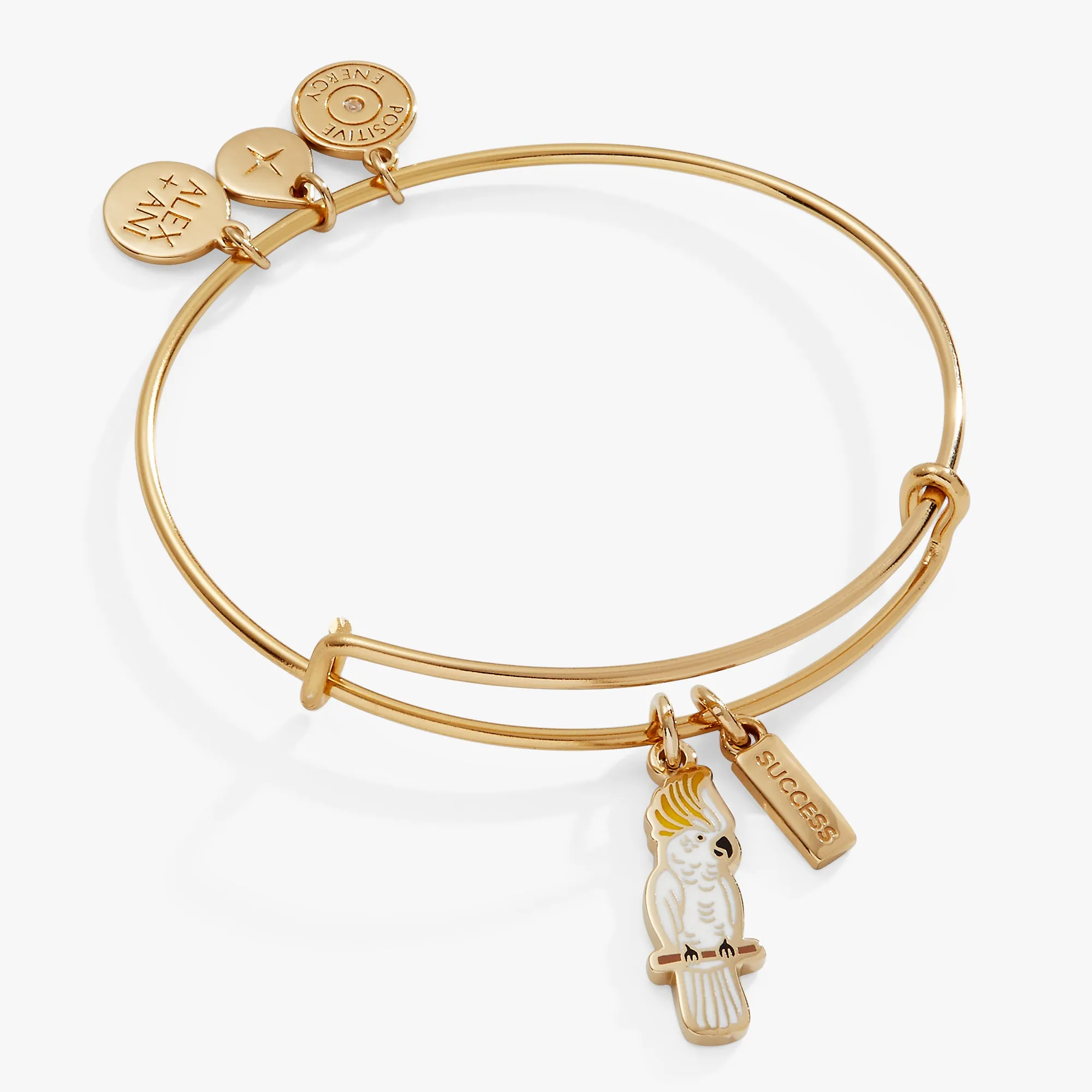 'Success' Cockatoo Charm Bangle