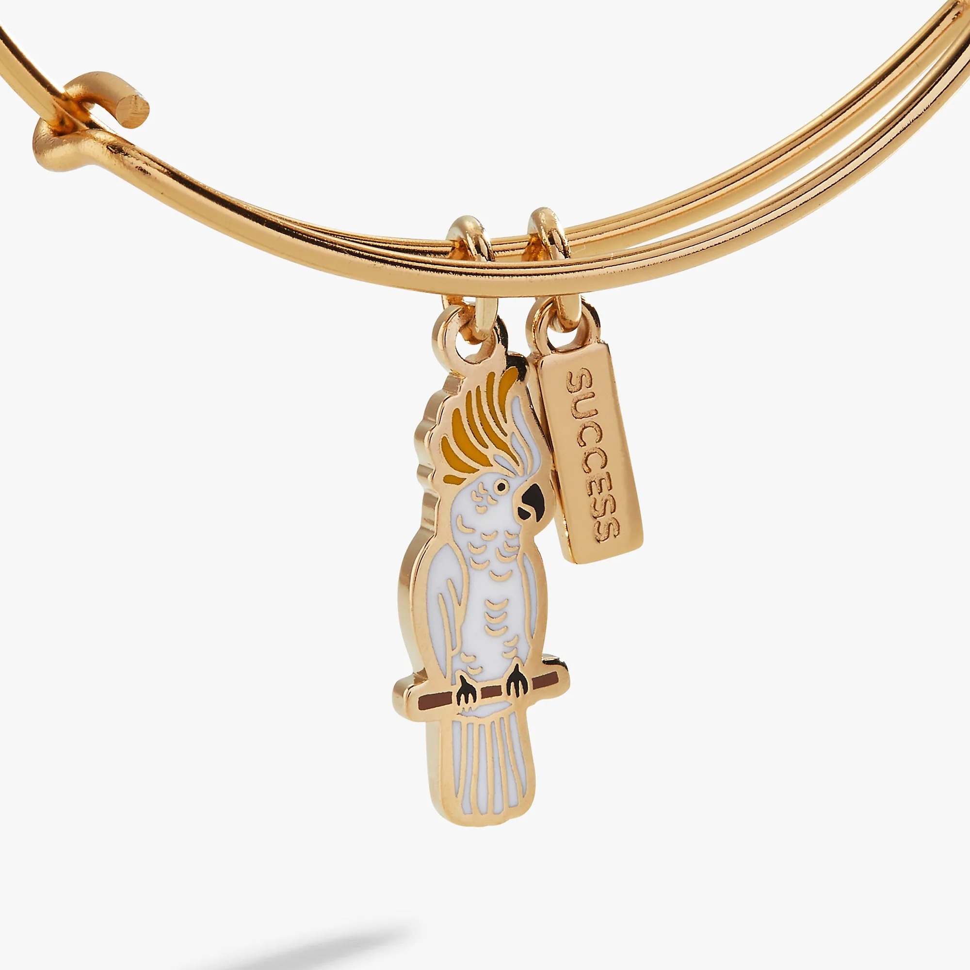 'Success' Cockatoo Charm Bangle