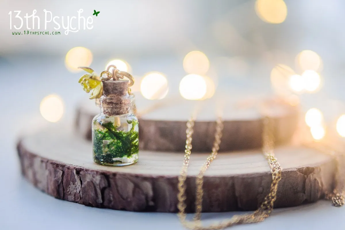 Tiny real moss bottle pendant necklace