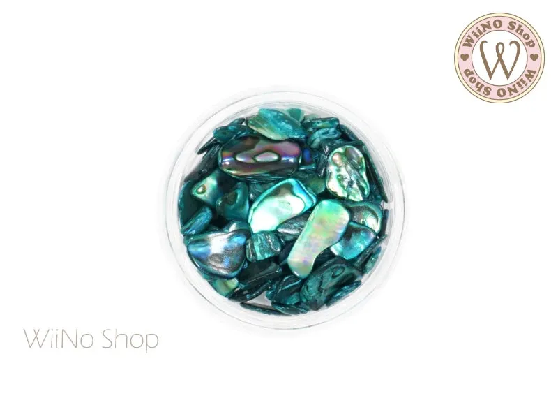 Turquoise Shell Abalone Natural Gemstones