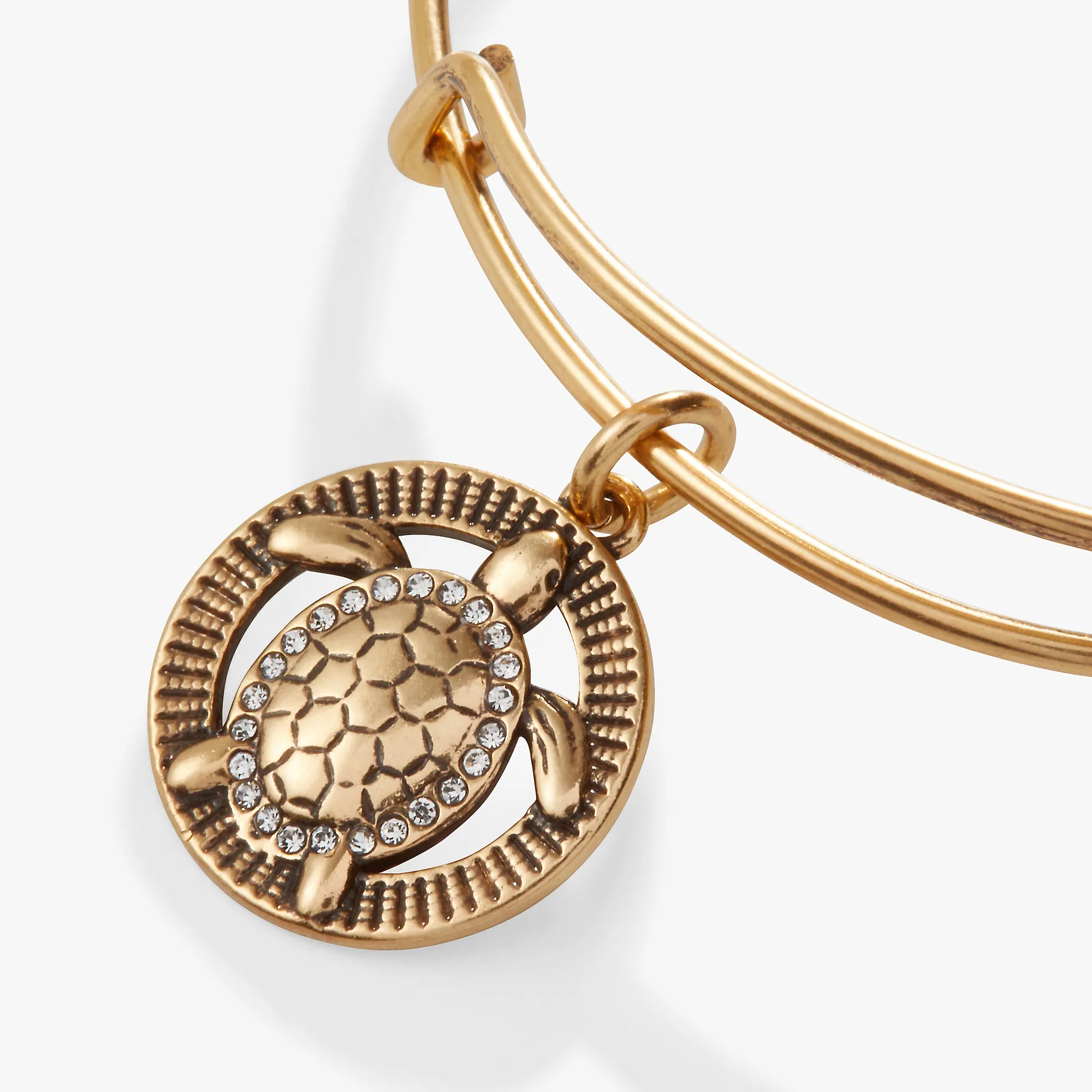 Turtle Charm Bangle