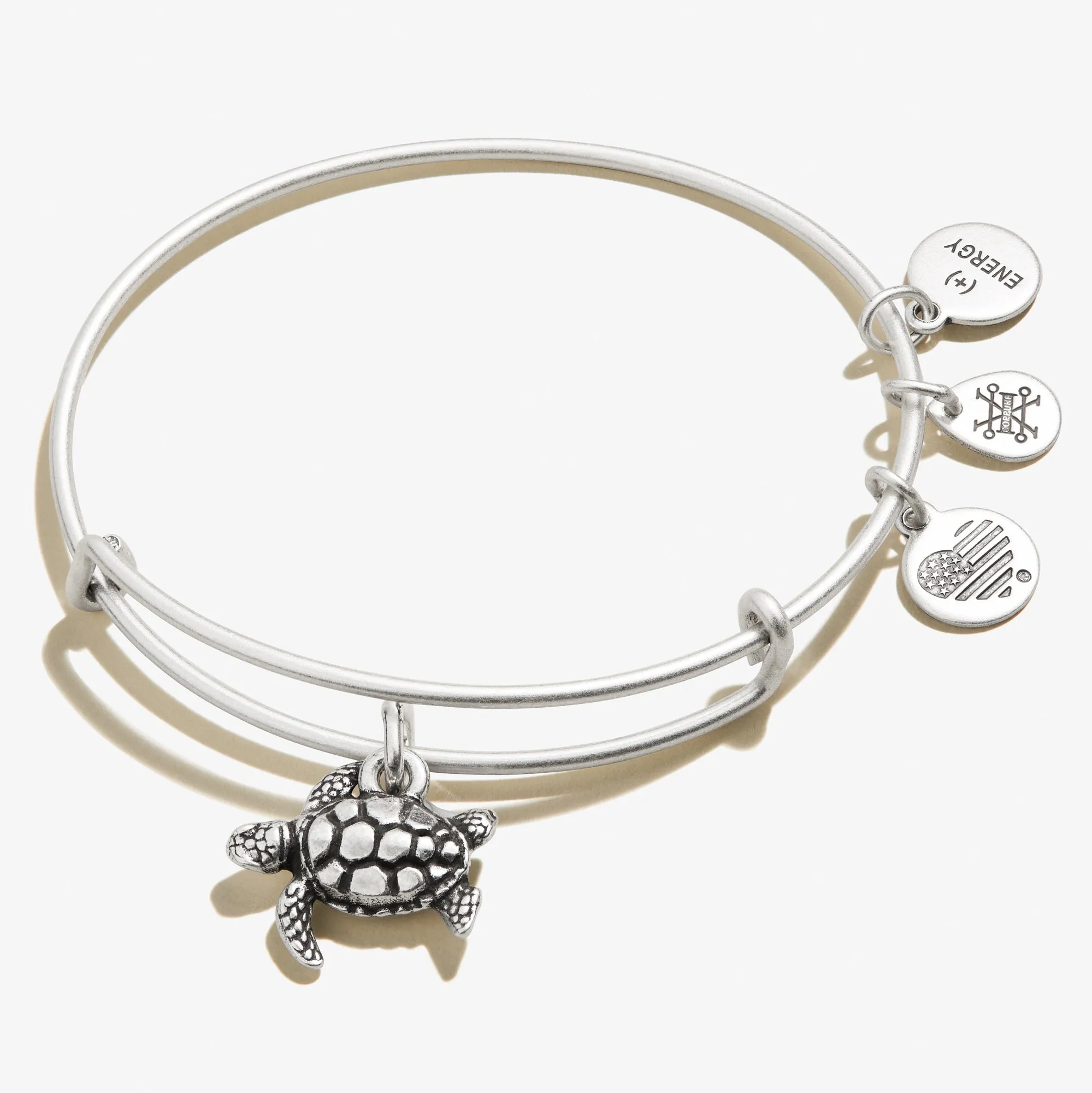 Turtle Charm Bangle