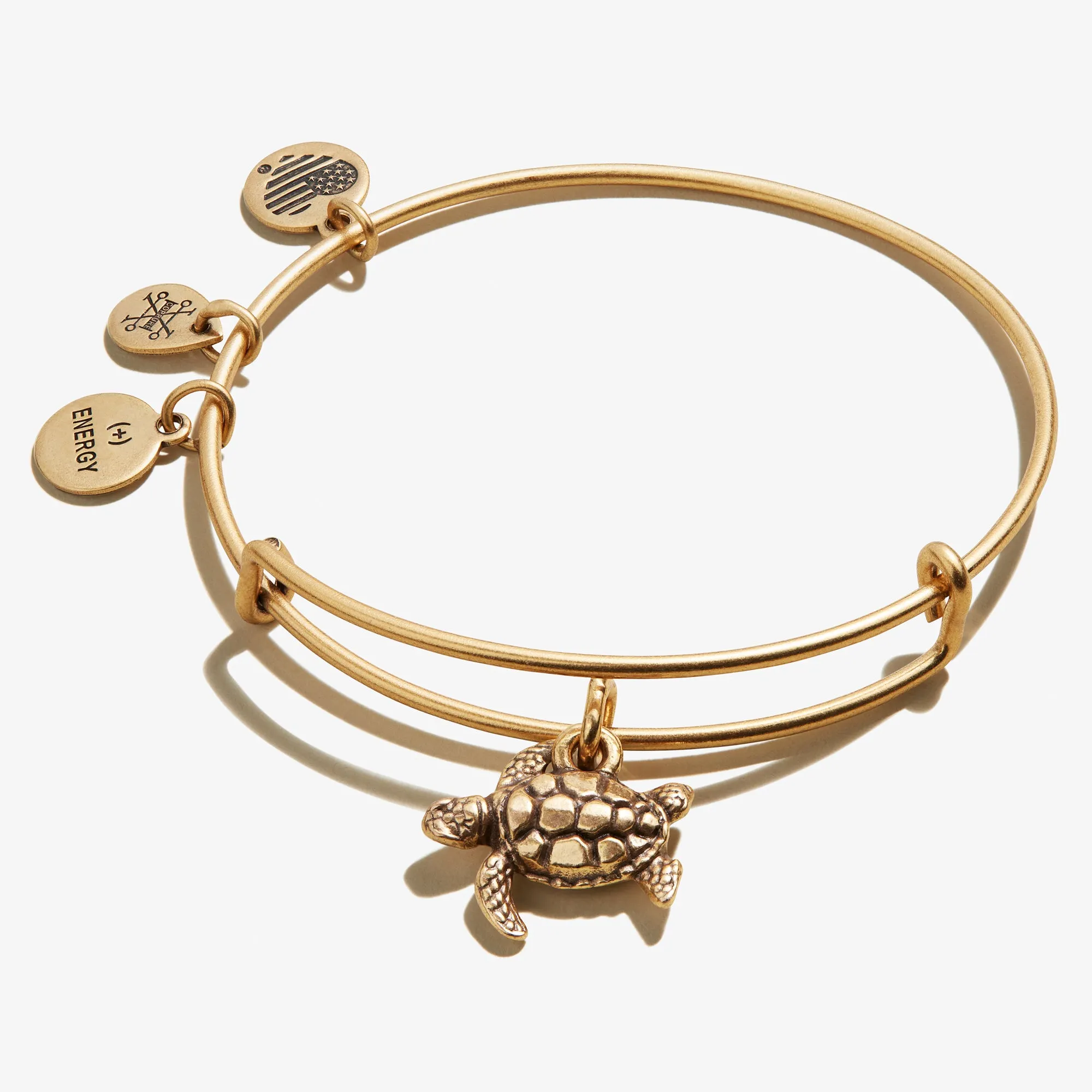 Turtle Charm Bangle